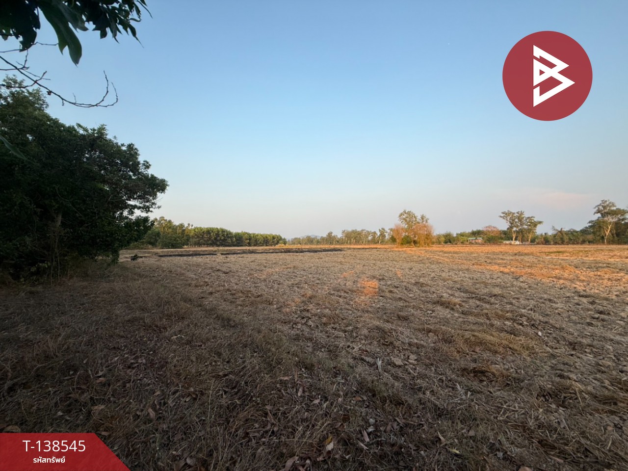 ขายที่ดิน เนื้อที่ 7 ไร่ 1 งาน 33 ตร.วา ปากพลี นครนายก 2