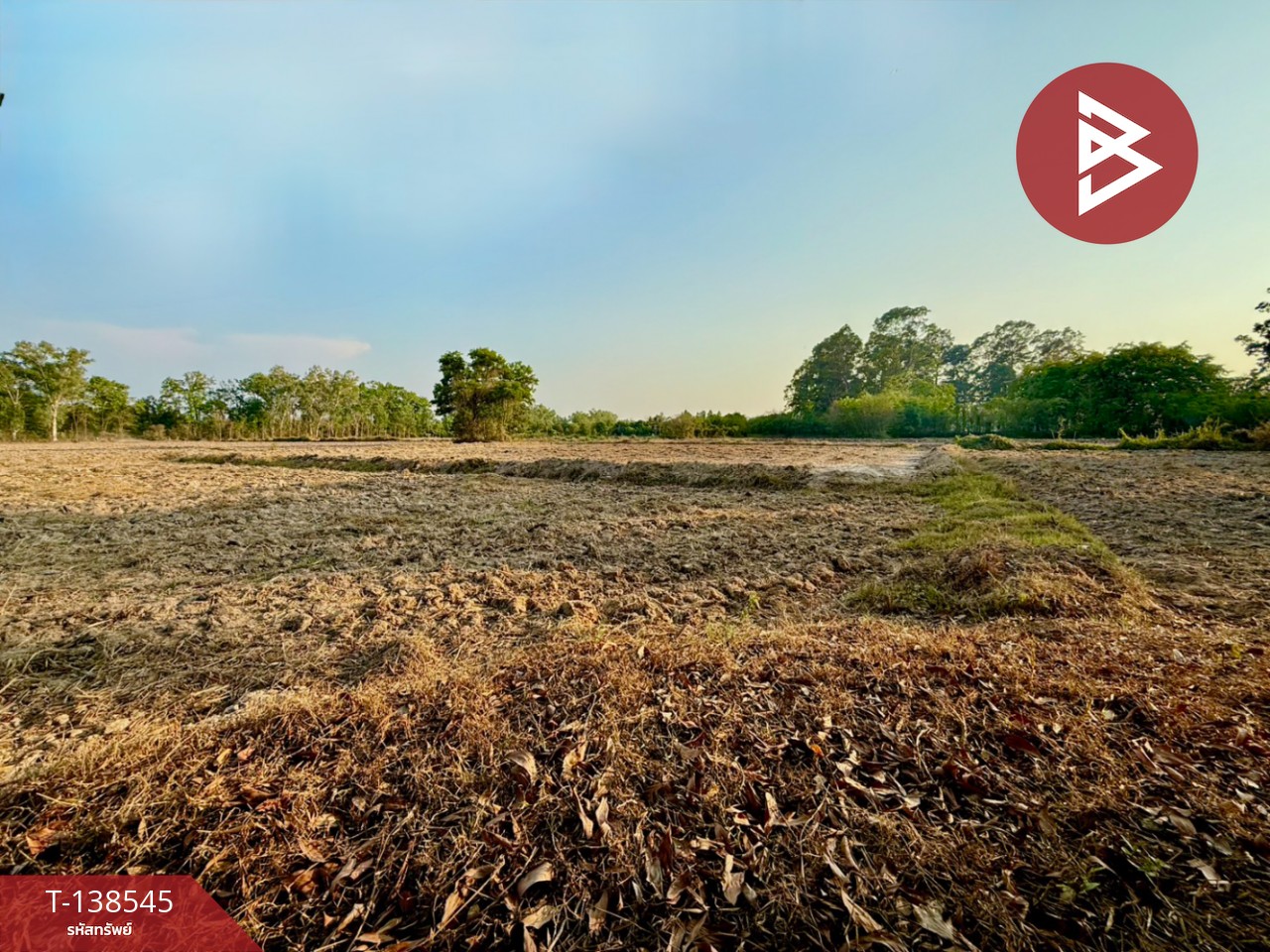 ขายที่ดิน เนื้อที่ 7 ไร่ 1 งาน 33 ตร.วา ปากพลี นครนายก 1