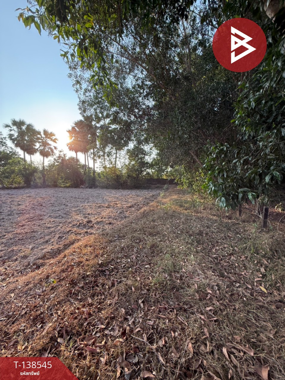 ขายที่ดิน เนื้อที่ 7 ไร่ 1 งาน 33 ตร.วา ปากพลี นครนายก 5