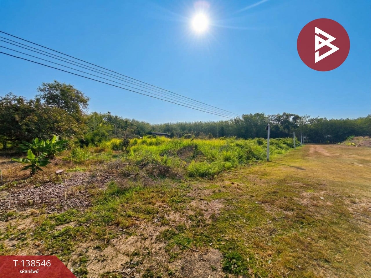 ขายที่ดินสวนผลไม้ เนื้อที่ 3 ไร่ 2 งาน 26.3 ตร.วา แกลง ระยอง 4