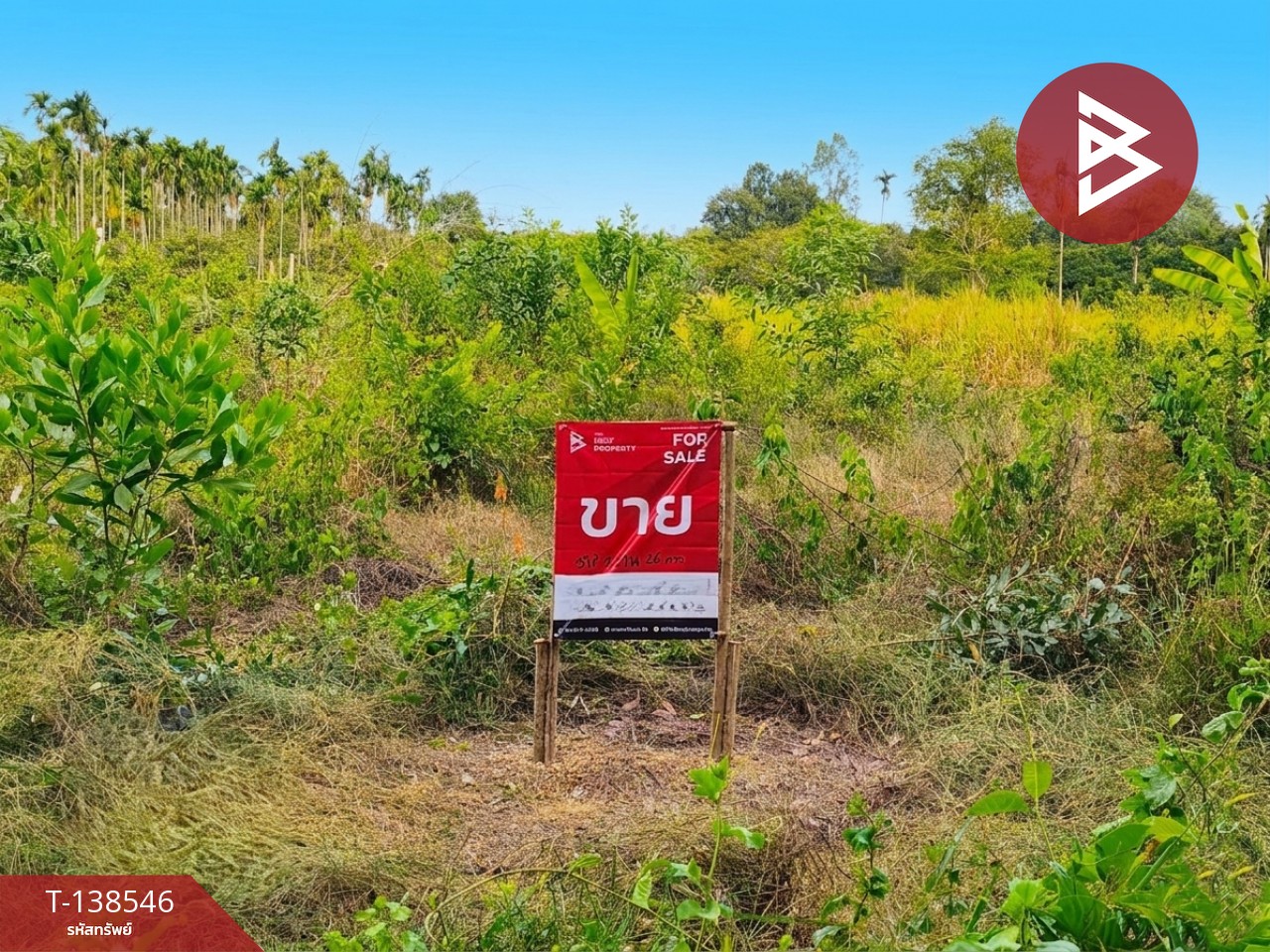 ขายที่ดินสวนผลไม้ เนื้อที่ 3 ไร่ 2 งาน 26.3 ตร.วา แกลง ระยอง 3