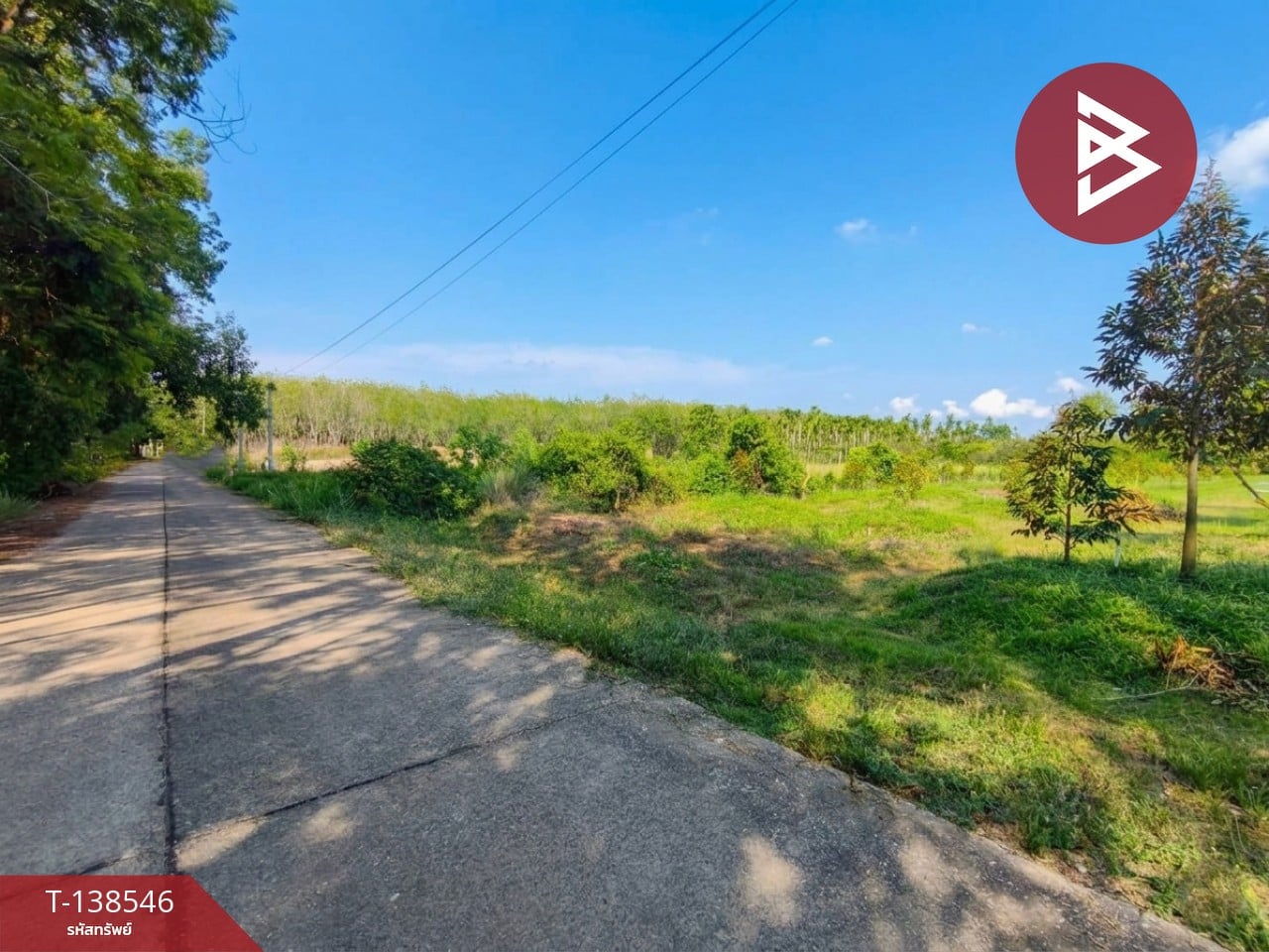 ขายที่ดินสวนผลไม้ เนื้อที่ 3 ไร่ 2 งาน 26.3 ตร.วา แกลง ระยอง 2