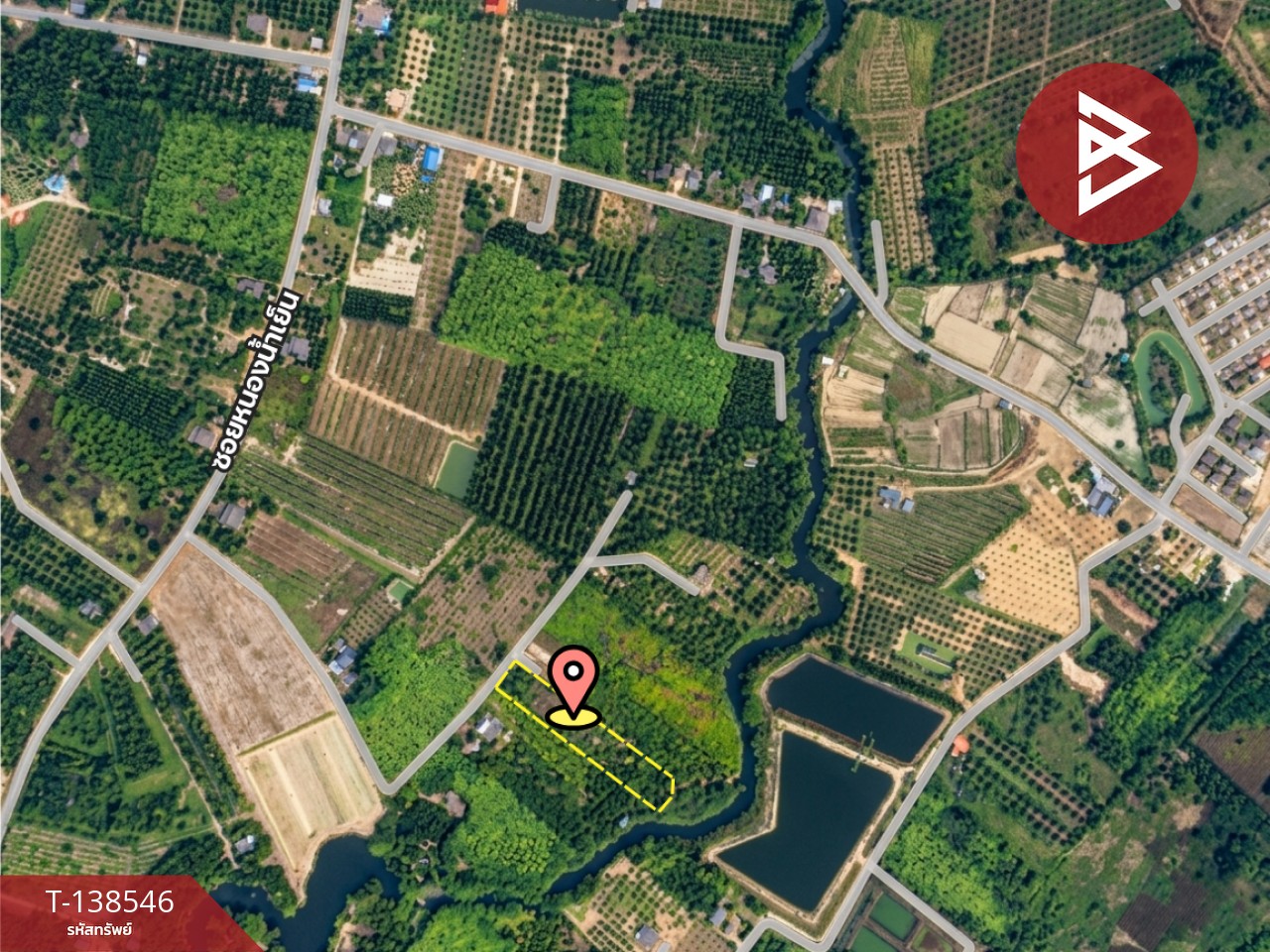 ขายที่ดินสวนผลไม้ เนื้อที่ 3 ไร่ 2 งาน 26.3 ตร.วา แกลง ระยอง 1