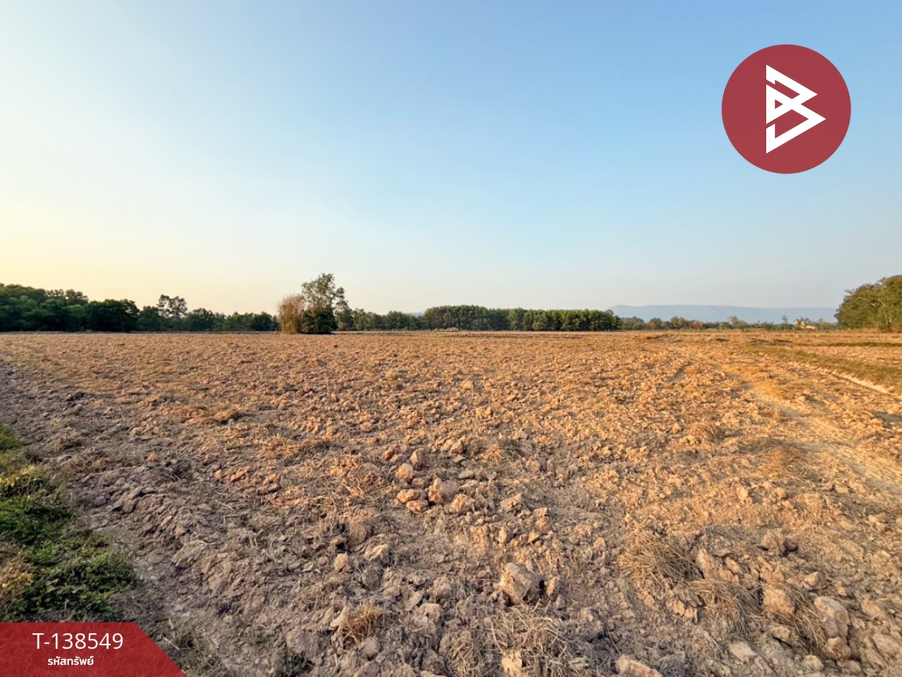 ขายที่ดิน เนื้อที่ 6 ไร่ 1 งาน 22.1 ตร.วา ปากพลี นครนายก 5