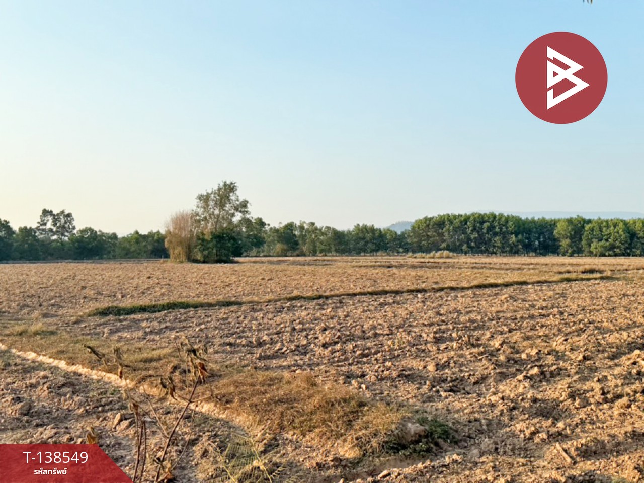 ขายที่ดิน เนื้อที่ 6 ไร่ 1 งาน 22.1 ตร.วา ปากพลี นครนายก 3