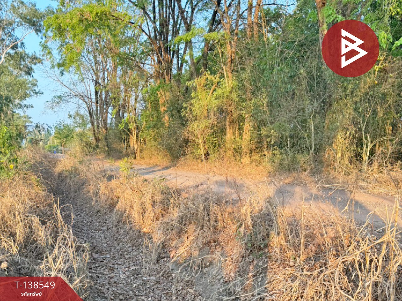 ขายที่ดิน เนื้อที่ 6 ไร่ 1 งาน 22.1 ตร.วา ปากพลี นครนายก 6