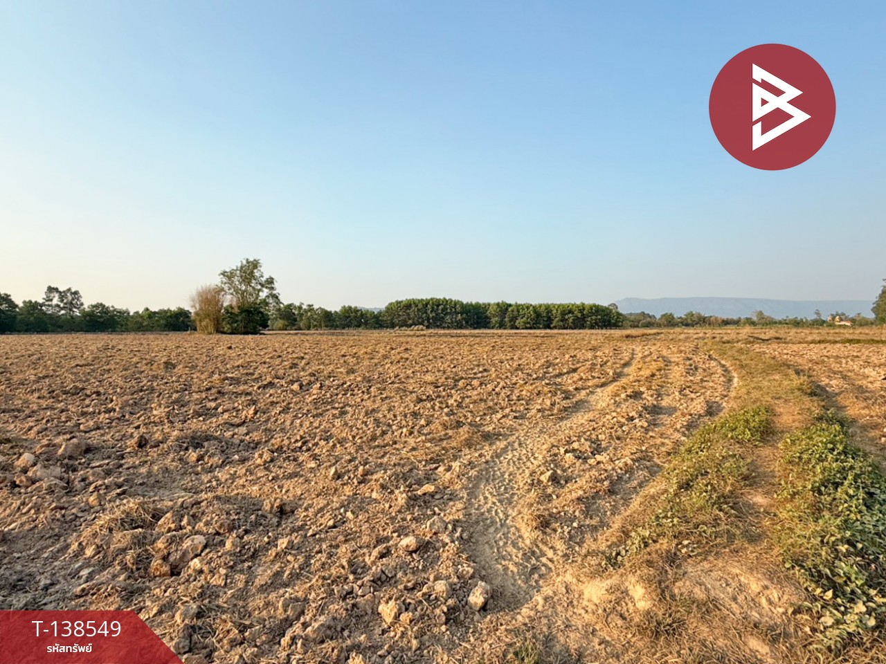 ขายที่ดิน เนื้อที่ 6 ไร่ 1 งาน 22.1 ตร.วา ปากพลี นครนายก 2