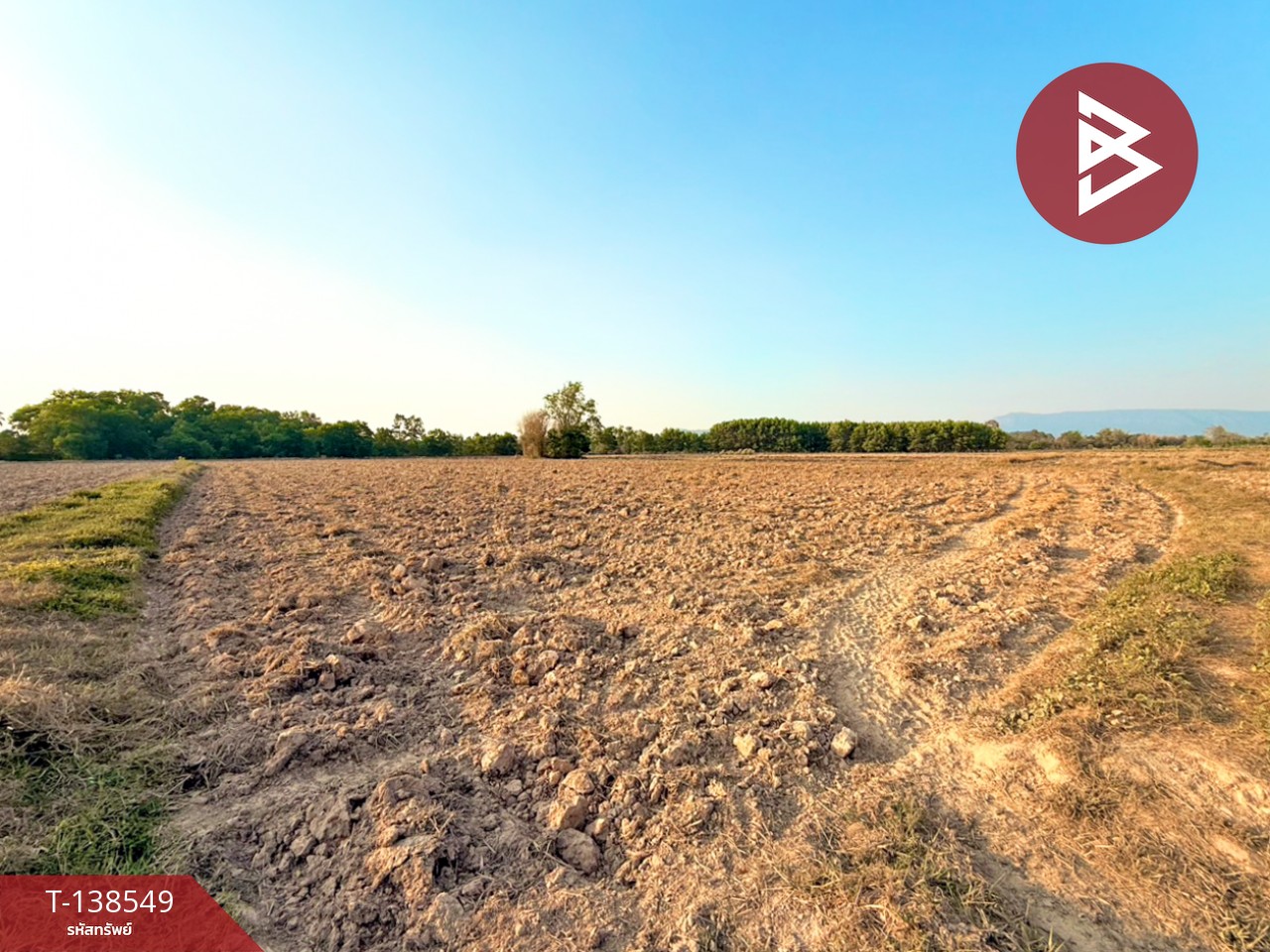 ขายที่ดิน เนื้อที่ 6 ไร่ 1 งาน 22.1 ตร.วา ปากพลี นครนายก 1