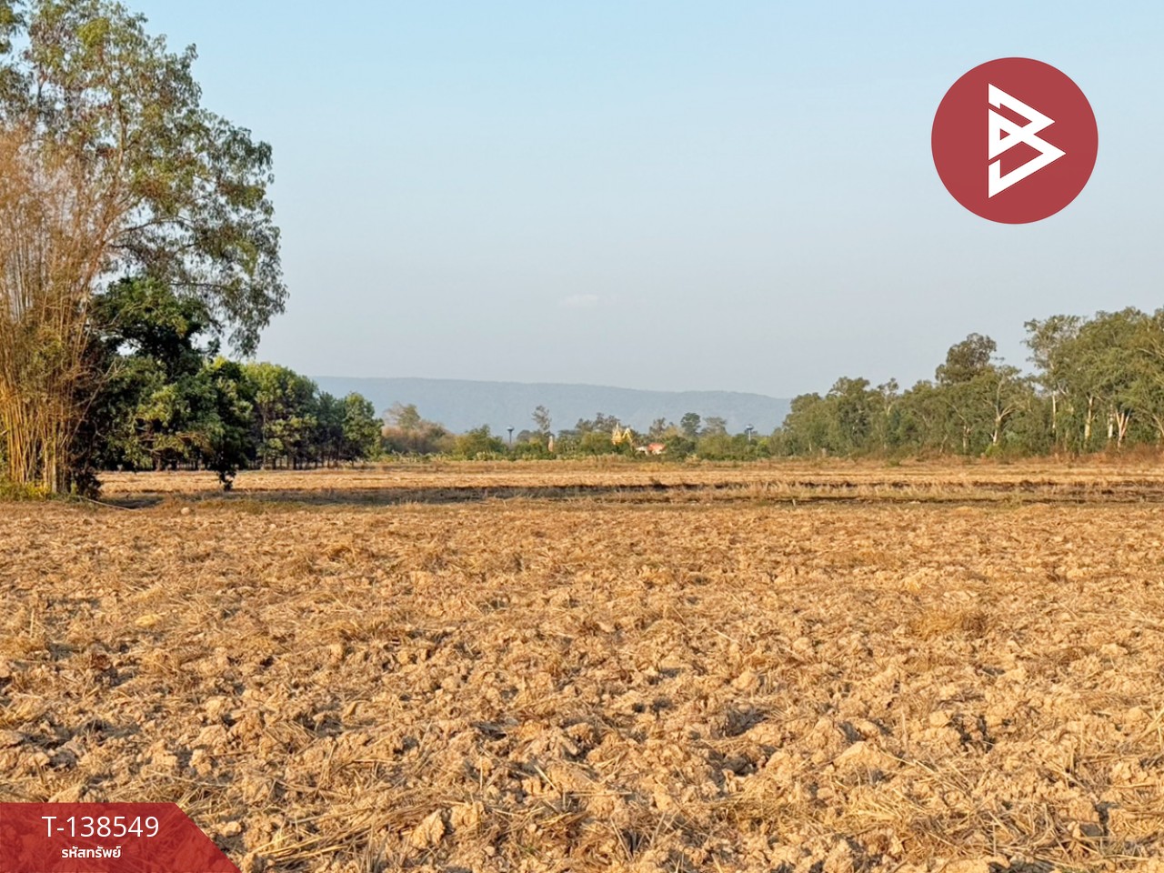 ขายที่ดิน เนื้อที่ 6 ไร่ 1 งาน 22.1 ตร.วา ปากพลี นครนายก 4