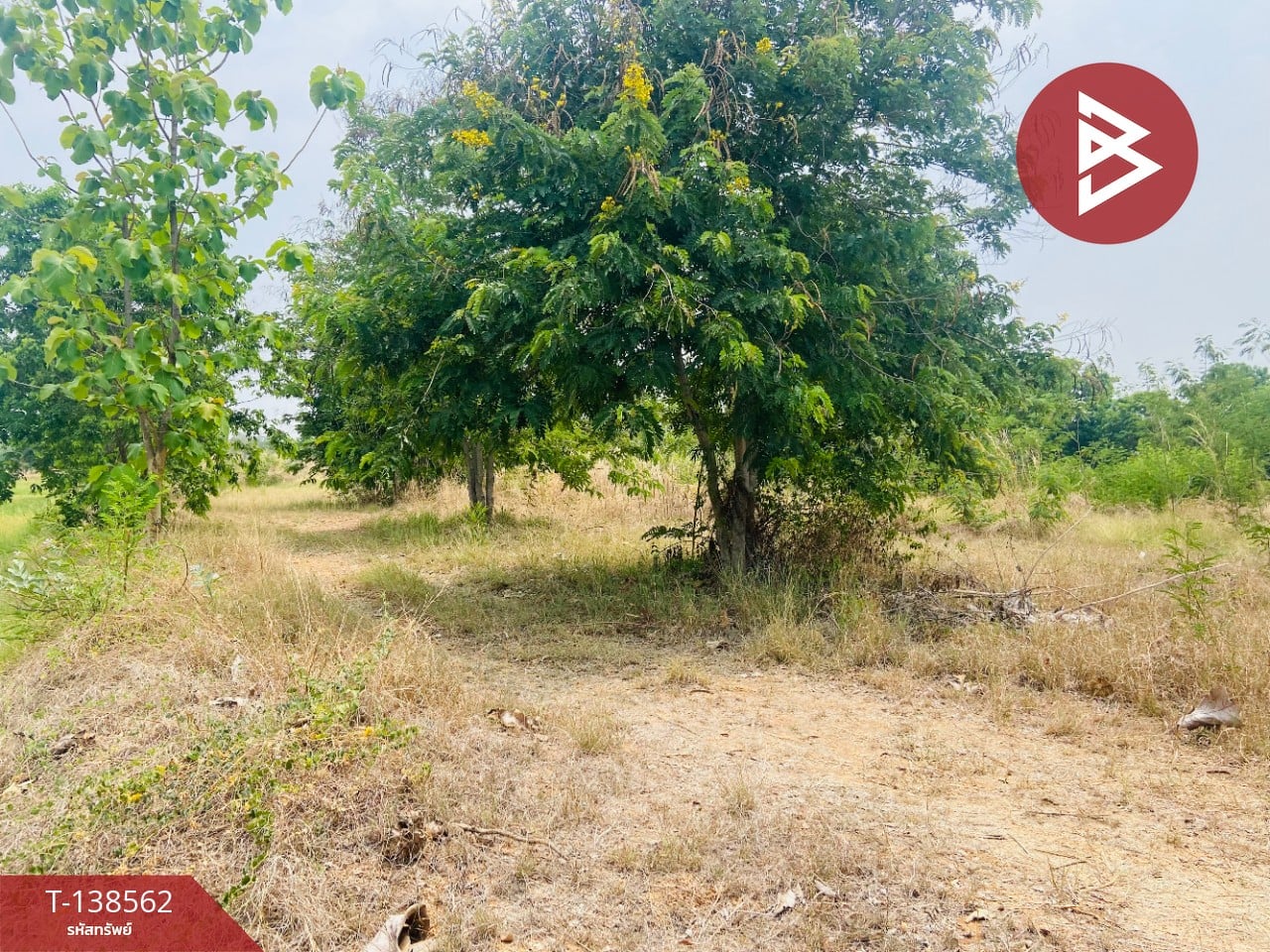 ขายที่ดิน เนื้อที่ 3 ไร่ 6.2 ตร.วา พล ขอนแก่น 7