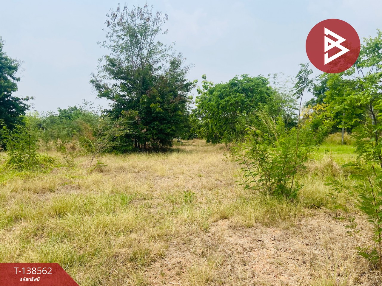 ขายที่ดิน เนื้อที่ 3 ไร่ 6.2 ตร.วา พล ขอนแก่น 5