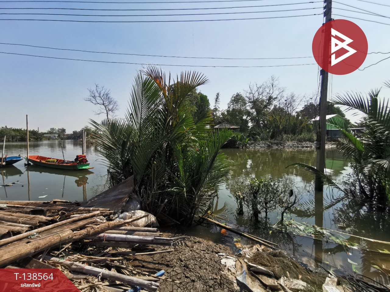 ขาย/เช่าที่ดิน เนื้อที่ 1 ไร่ 84 ตร.วา แม่กลอง สมุทรสงคราม 3