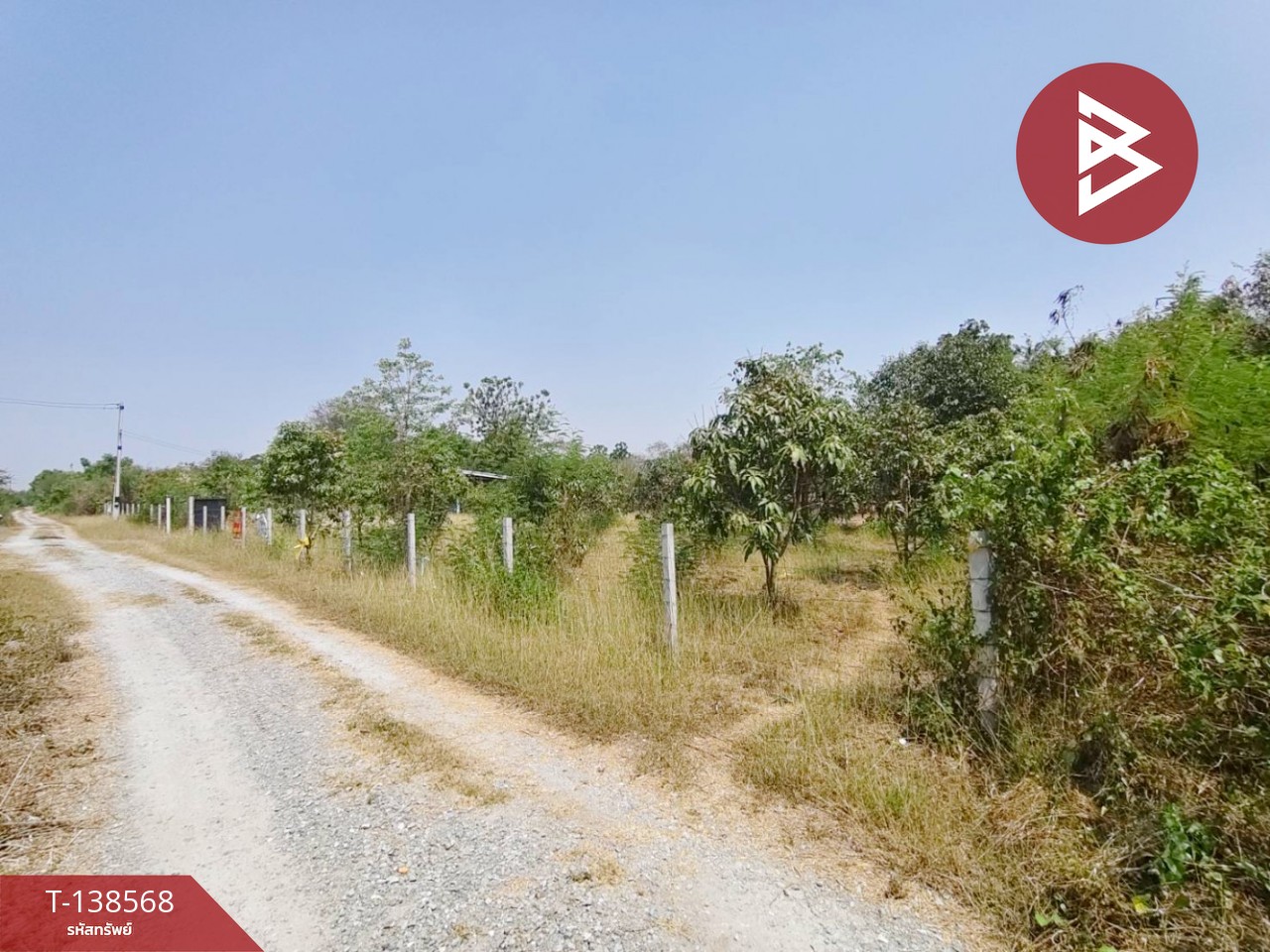 ขายที่ดิน เนื้อที่ 1 ไร่ 18.5 ตร.วา กำแพงแสน นครปฐม 9