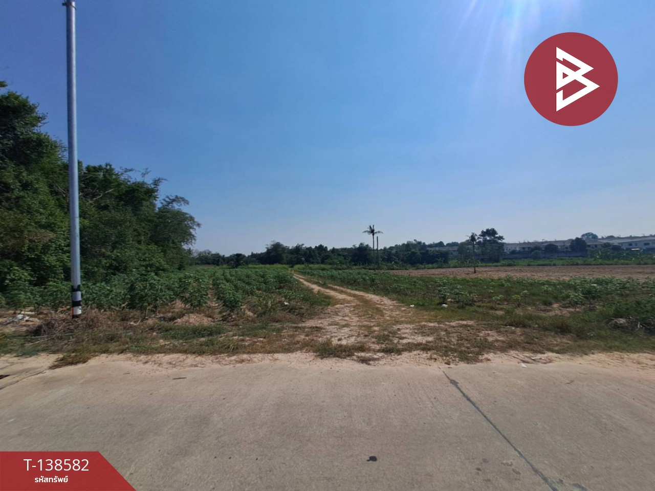 ขายที่ดิน เนื้อที่ 20 ไร่ 1 งาน 81 ตร.วา ศรีราชา ชลบุรี 4