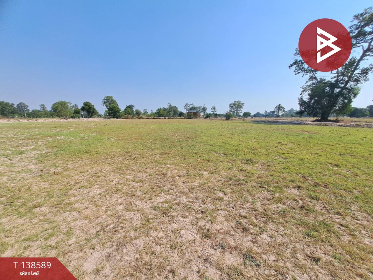 ขายที่ดินเปล่า เนื้อที่ 5 ไร่ 1 งาน 69 ตารางวา ต.สะอาดสมบูรณ์ เมืองร้อยเอ็ด ทำเลดีติดถนน 6