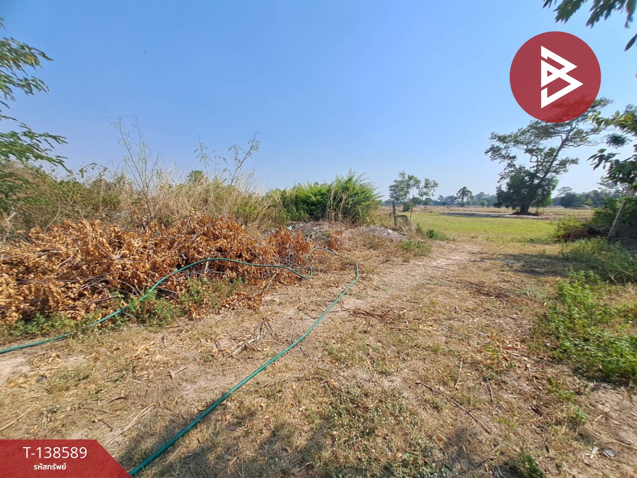 ขายที่ดินเปล่า เนื้อที่ 5 ไร่ 1 งาน 69 ตารางวา ต.สะอาดสมบูรณ์ เมืองร้อยเอ็ด ทำเลดีติดถนน 10