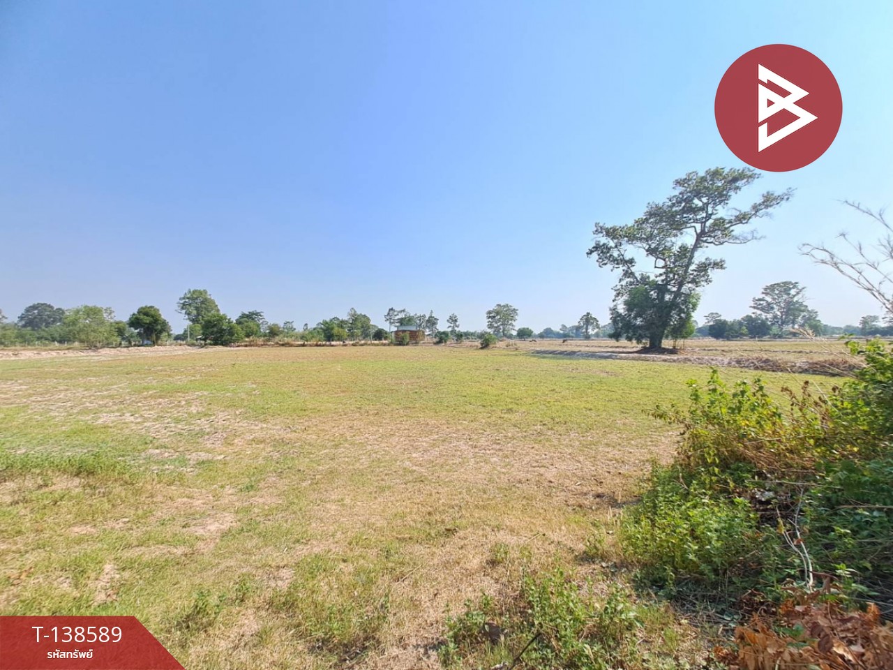 ขายที่ดินเปล่า เนื้อที่ 5 ไร่ 1 งาน 69 ตารางวา ต.สะอาดสมบูรณ์ เมืองร้อยเอ็ด ทำเลดีติดถนน 11