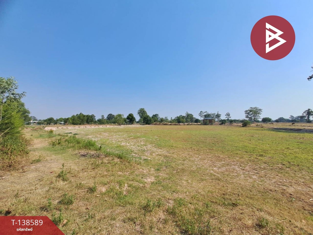 ขายที่ดินเปล่า เนื้อที่ 5 ไร่ 1 งาน 69 ตารางวา ต.สะอาดสมบูรณ์ เมืองร้อยเอ็ด ทำเลดีติดถนน 12