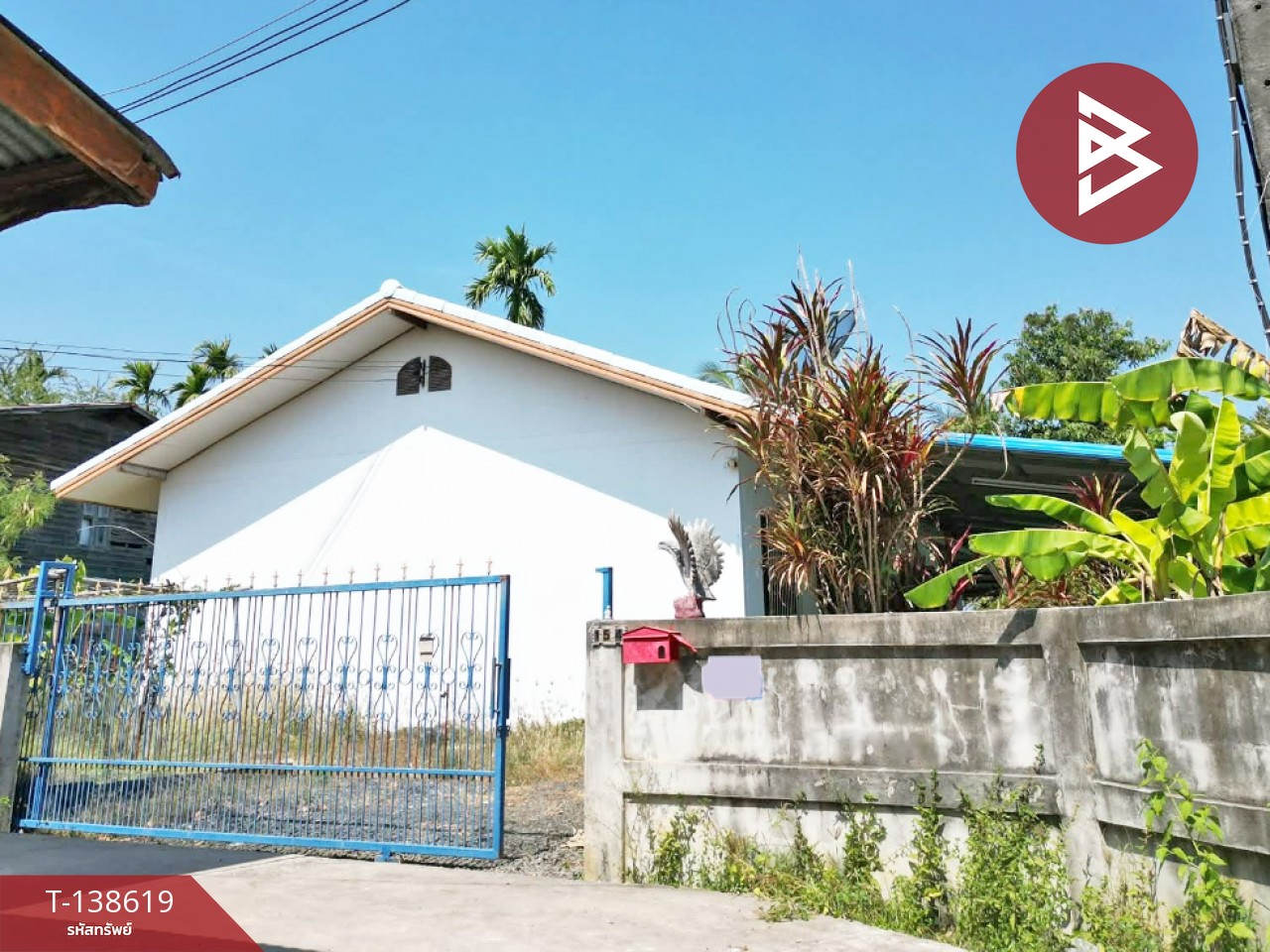 ขายด่วนบ้านเดี่ยว เนื้อที่ 231 ตารางวา ประโคนชัย บุรีรัมย์ 1