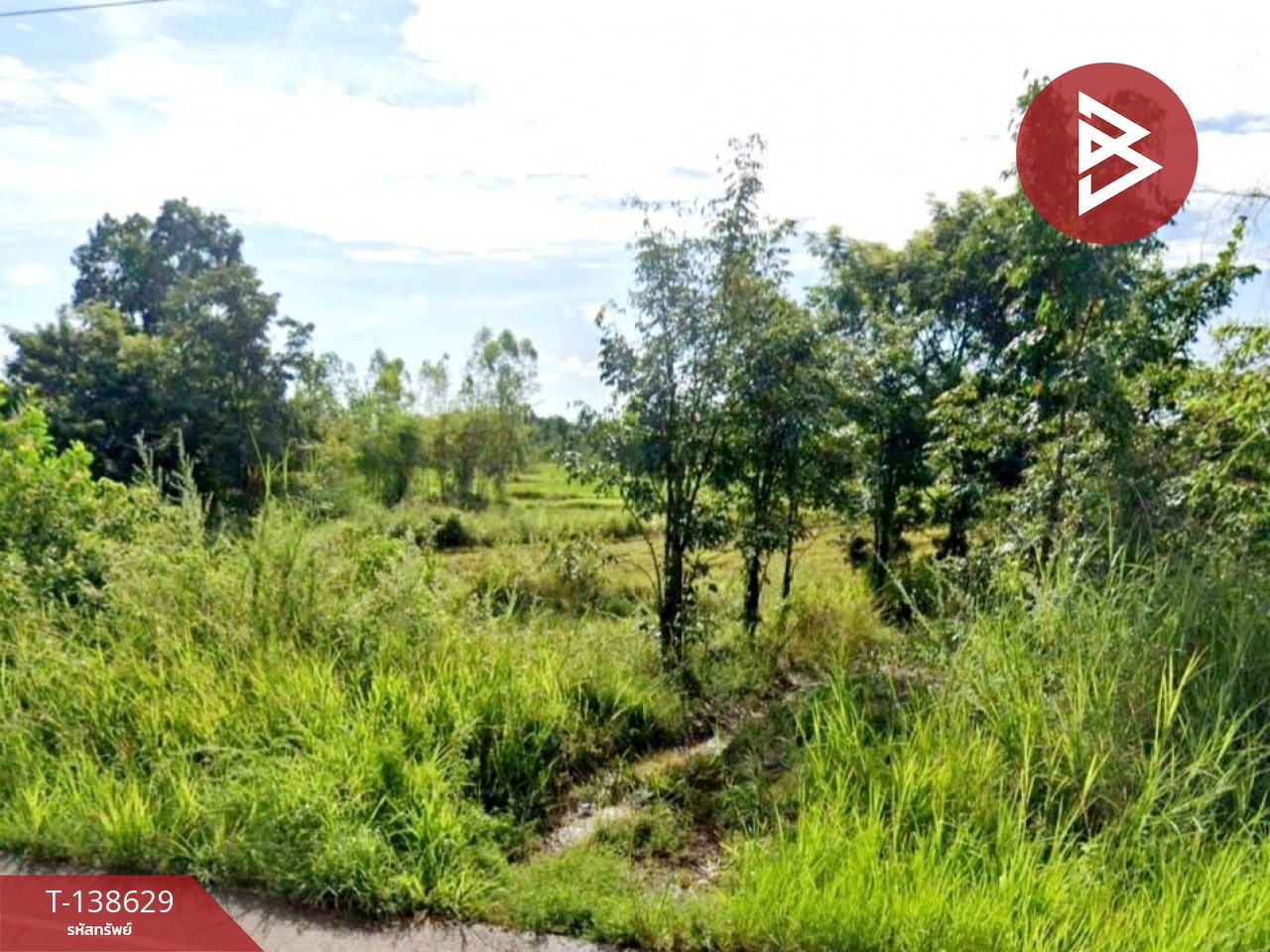 ขายที่ดิน เนื้อที่ 4 ไร่ 3 งาน 65 ตร.วา ท่าบ่อ หนองคาย 4