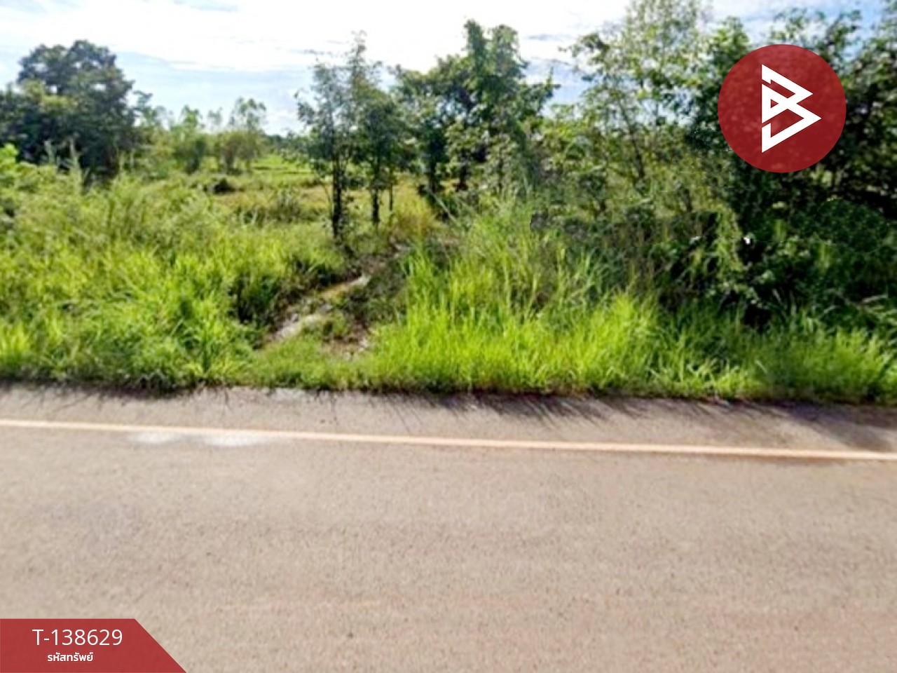 ขายที่ดิน เนื้อที่ 4 ไร่ 3 งาน 65 ตร.วา ท่าบ่อ หนองคาย 5