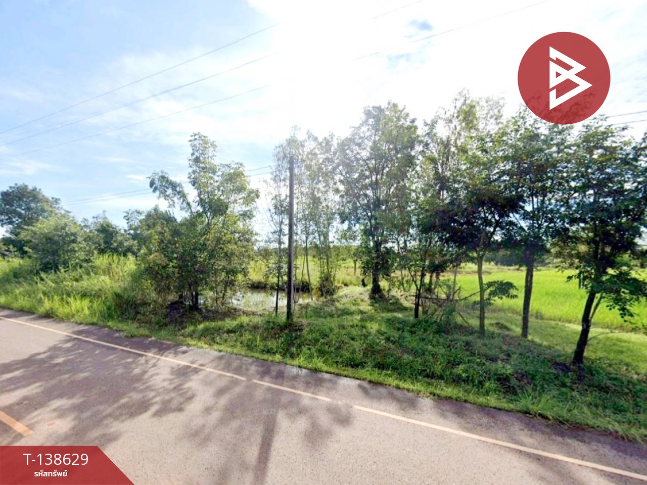 ขายที่ดิน เนื้อที่ 4 ไร่ 3 งาน 65 ตร.วา ท่าบ่อ หนองคาย 2