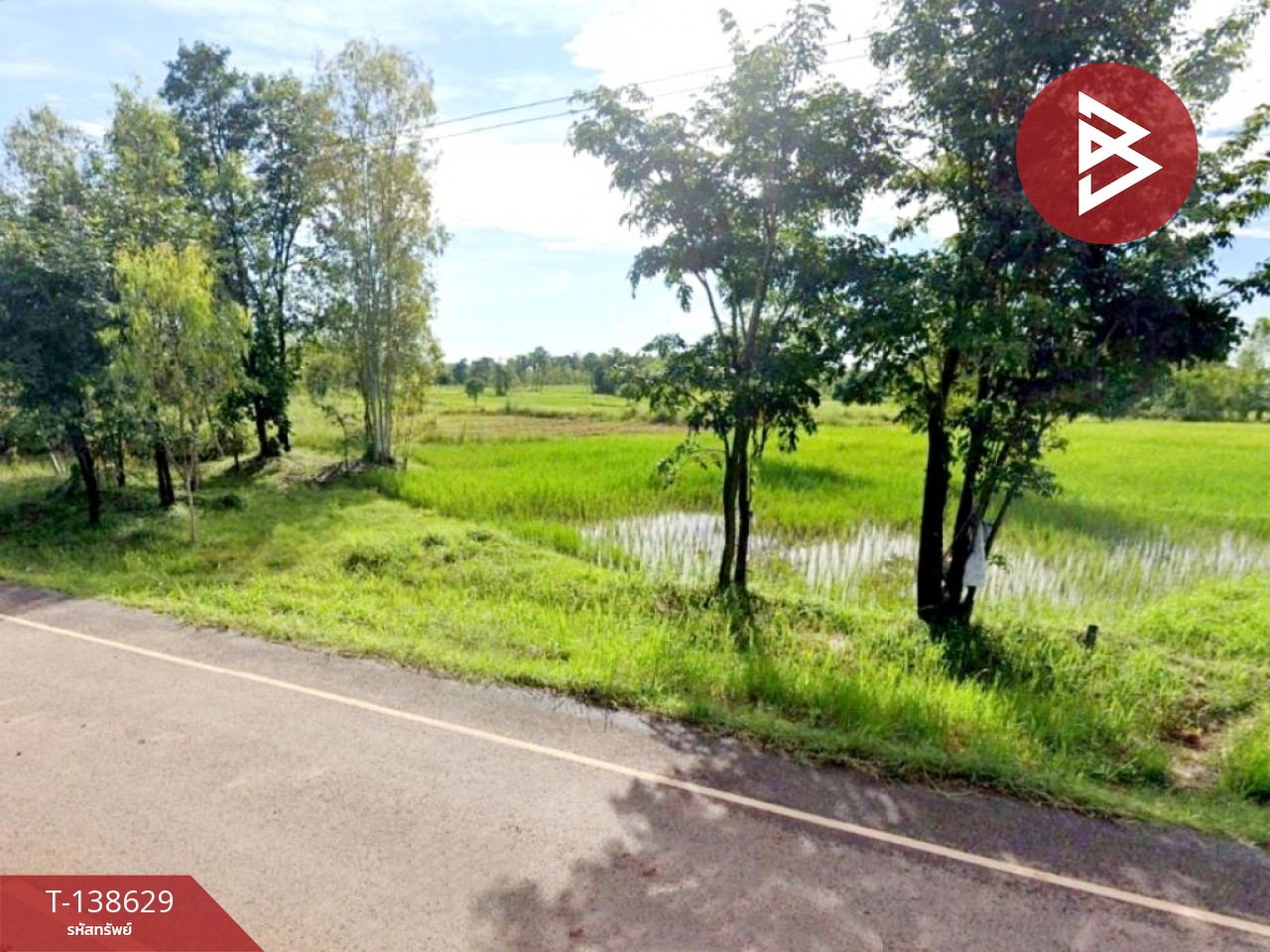 ขายที่ดิน เนื้อที่ 4 ไร่ 3 งาน 65 ตร.วา ท่าบ่อ หนองคาย 1