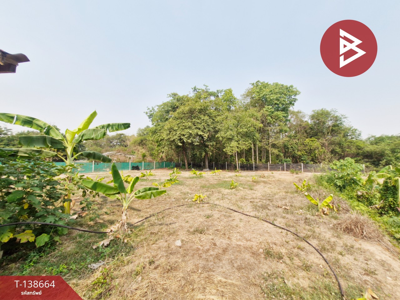 ขายบ้านเดี่ยวพร้อมที่ดิน เนื้อที่ 5 ไร่ 43 ตร.วา โพธาราม ราชบุรี 12