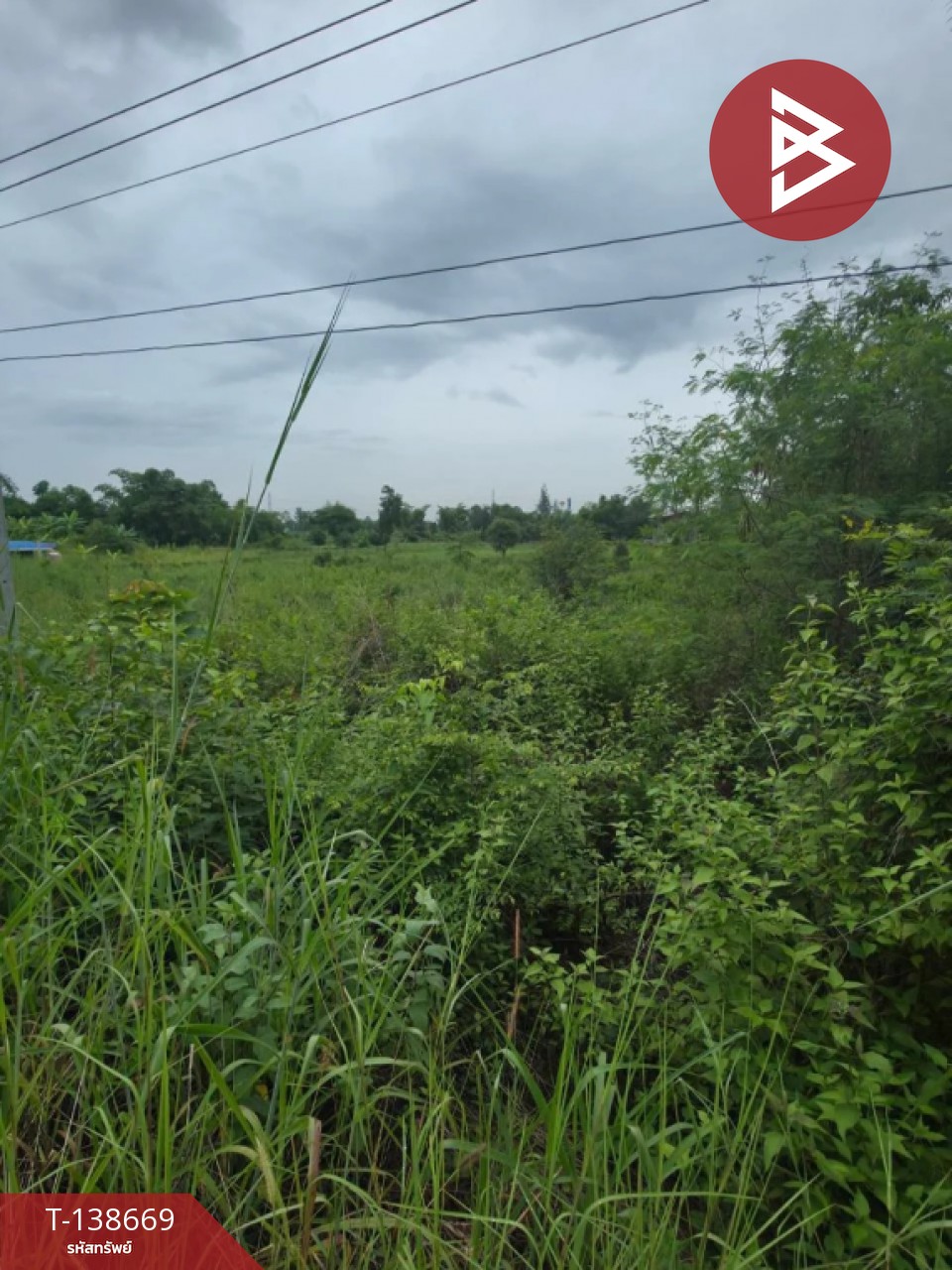 ขายที่ดิน เนื้อที่ 1 ไร่ ปากท่อ ราชบุรี 1