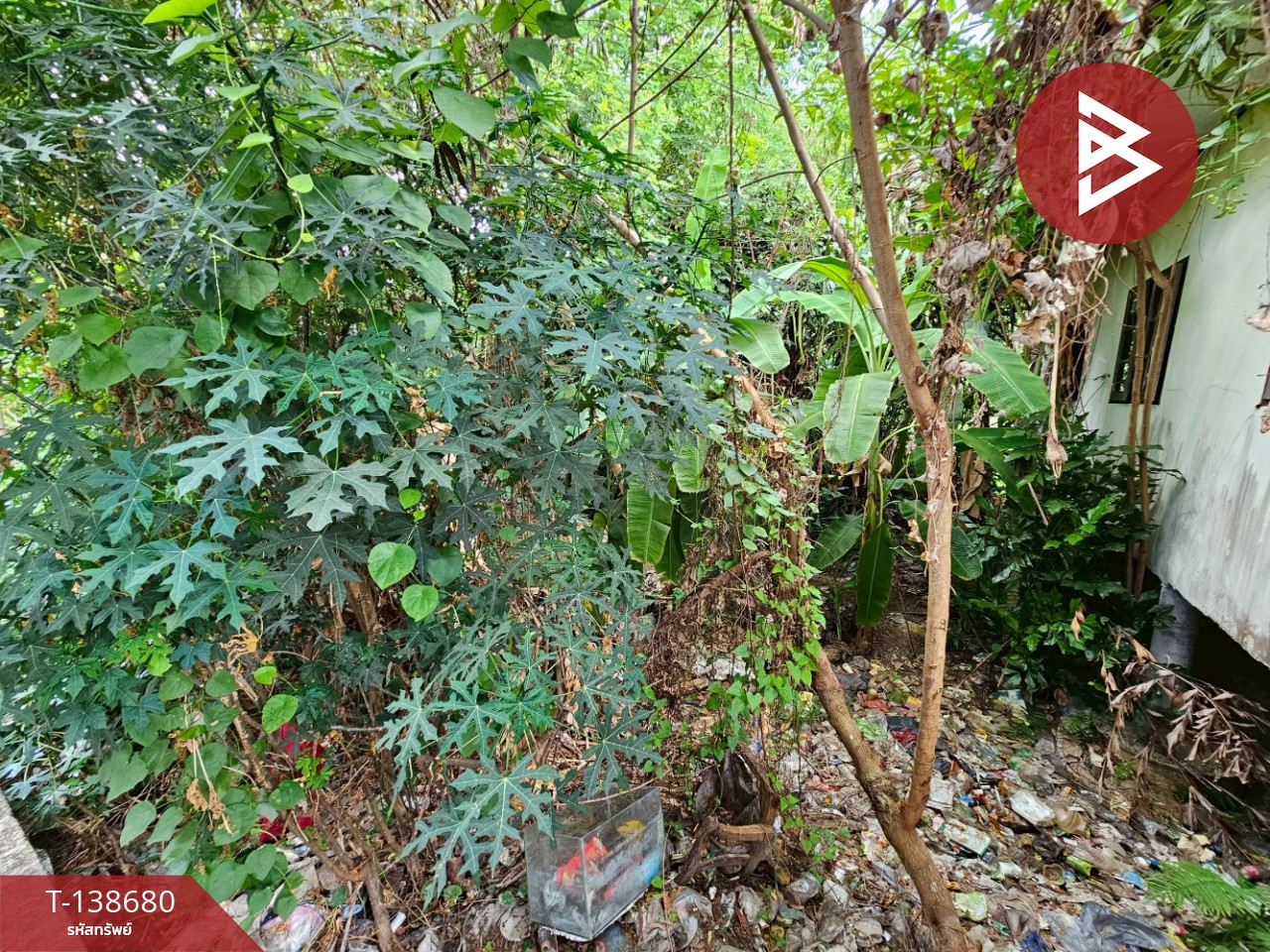 ขายที่ดิน เนื้อที่ 100 ตารางวา ซอยเพชรหงษ์ 5 พระประแดง สมุทรปราการ 2