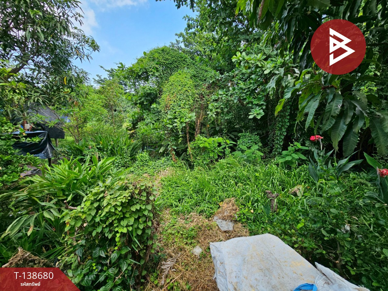 ขายที่ดิน เนื้อที่ 100 ตารางวา ซอยเพชรหงษ์ 5 พระประแดง สมุทรปราการ 1