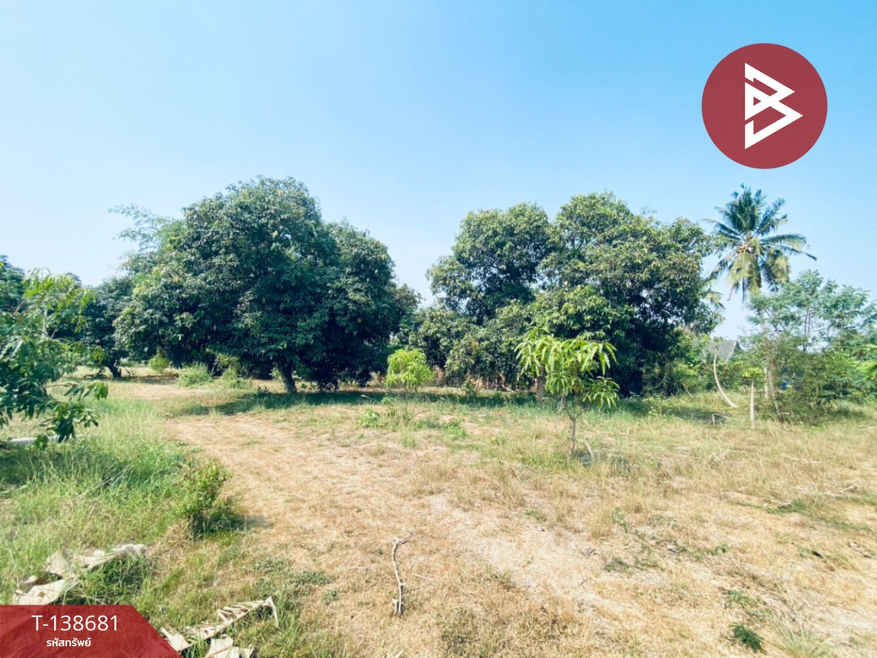 ขายบ้านเดี่ยวพร้อมสวน เนื้อที่ 10 ไร่ 9 ตร.วา แก่งกระจาน เพชรบุรี 13