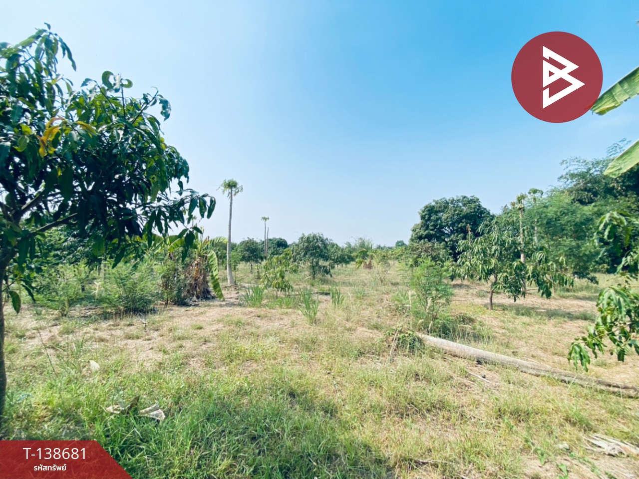 ขายบ้านเดี่ยวพร้อมสวน เนื้อที่ 10 ไร่ 9 ตร.วา แก่งกระจาน เพชรบุรี 12