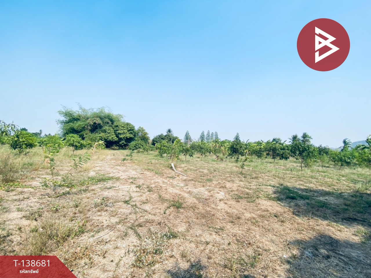 ขายบ้านเดี่ยวพร้อมสวน เนื้อที่ 10 ไร่ 9 ตร.วา แก่งกระจาน เพชรบุรี 6