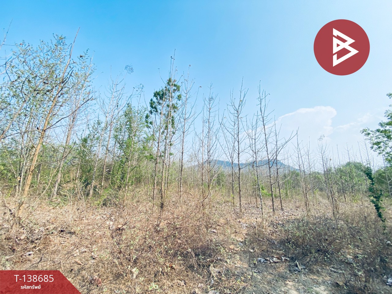 ขายที่ดิน เนื้อที่ 14 ไร่ 22 ตร.วา อ.แก่งกระจาน เพชรบุรี ทำเลดีติดถนน 6