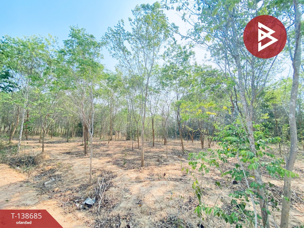 ขายที่ดิน เนื้อที่ 14 ไร่ 22 ตร.วา อ.แก่งกระจาน เพชรบุรี ทำเลดีติดถนน 8