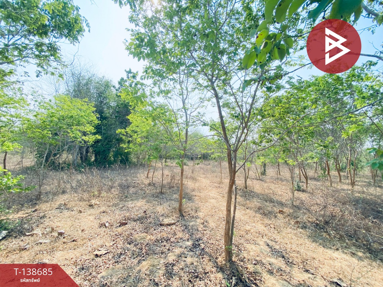 ขายที่ดิน เนื้อที่ 14 ไร่ 22 ตร.วา อ.แก่งกระจาน เพชรบุรี ทำเลดีติดถนน 12