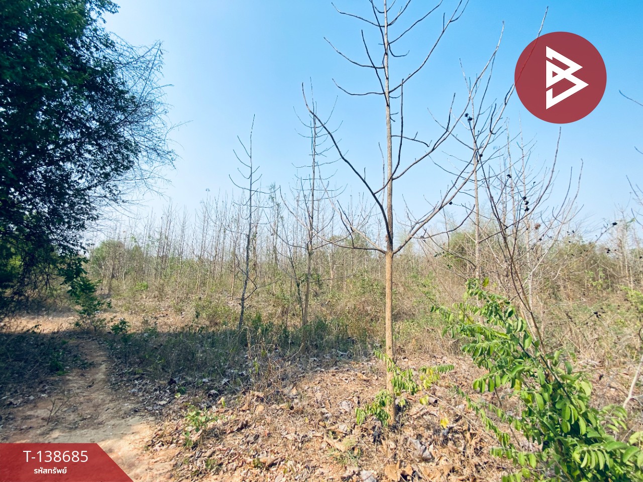 ขายที่ดิน เนื้อที่ 14 ไร่ 22 ตร.วา อ.แก่งกระจาน เพชรบุรี ทำเลดีติดถนน 5