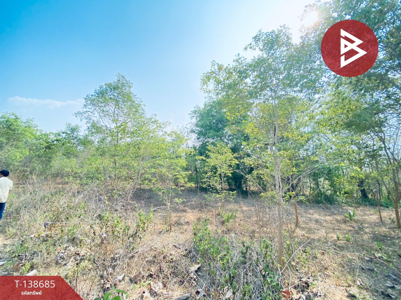 ขายที่ดิน เนื้อที่ 14 ไร่ 22 ตร.วา อ.แก่งกระจาน เพชรบุรี ทำเลดีติดถนน 4