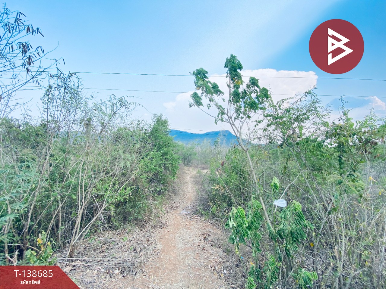 ขายที่ดิน เนื้อที่ 14 ไร่ 22 ตร.วา อ.แก่งกระจาน เพชรบุรี ทำเลดีติดถนน 3