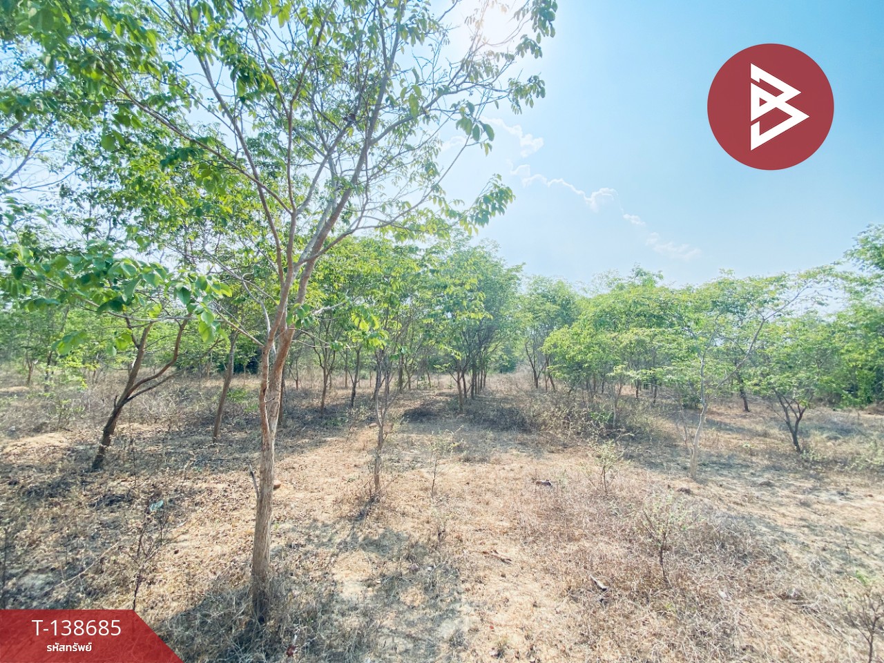 ขายที่ดิน เนื้อที่ 14 ไร่ 22 ตร.วา อ.แก่งกระจาน เพชรบุรี ทำเลดีติดถนน 9