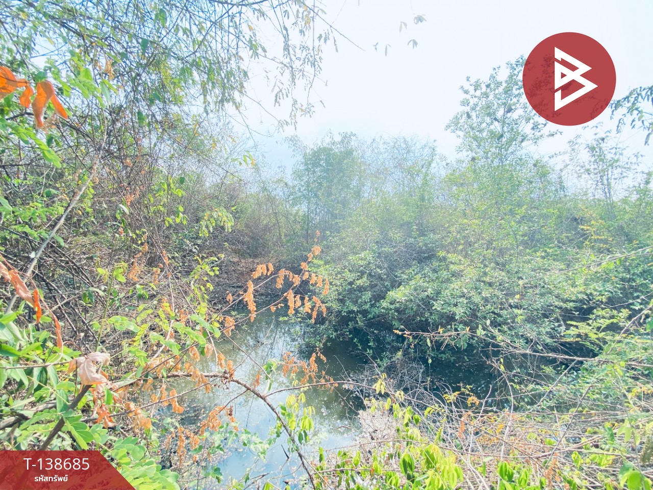 ขายที่ดิน เนื้อที่ 14 ไร่ 22 ตร.วา อ.แก่งกระจาน เพชรบุรี ทำเลดีติดถนน 7