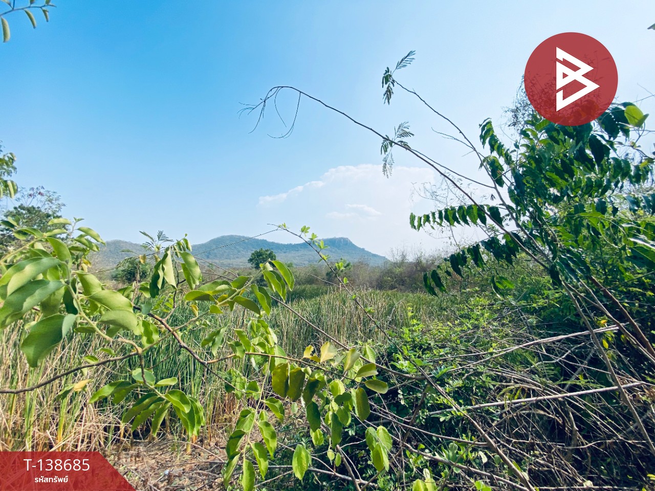 ขายที่ดิน เนื้อที่ 14 ไร่ 22 ตร.วา อ.แก่งกระจาน เพชรบุรี ทำเลดีติดถนน 11