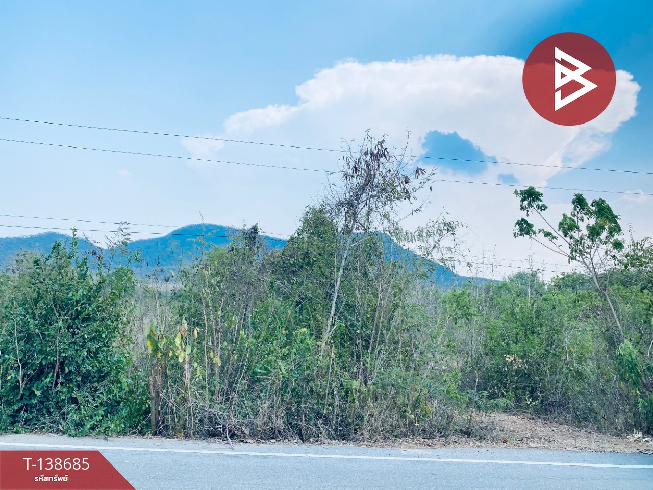 ขายที่ดิน เนื้อที่ 14 ไร่ 22 ตร.วา อ.แก่งกระจาน เพชรบุรี ทำเลดีติดถนน 1