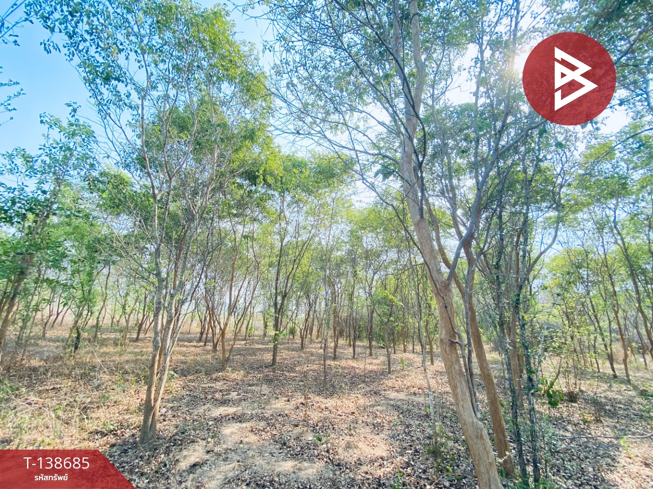 ขายที่ดิน เนื้อที่ 14 ไร่ 22 ตร.วา อ.แก่งกระจาน เพชรบุรี ทำเลดีติดถนน 10