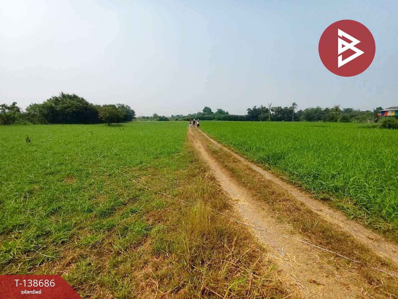 ขายที่ดิน เนื้อที่ 10 ไร่ 63 ตร.วา บ้านโป่ง ราชบุรี 2