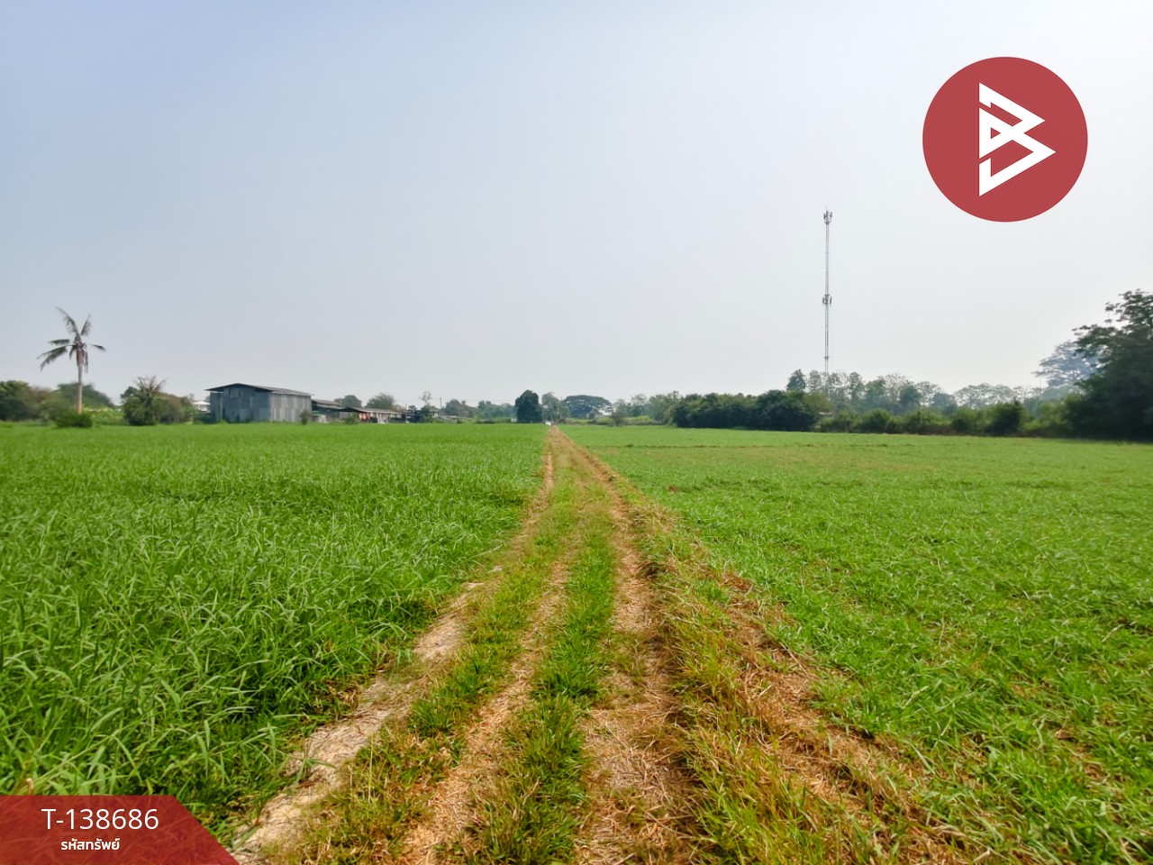 ขายที่ดิน เนื้อที่ 10 ไร่ 63 ตร.วา บ้านโป่ง ราชบุรี 1