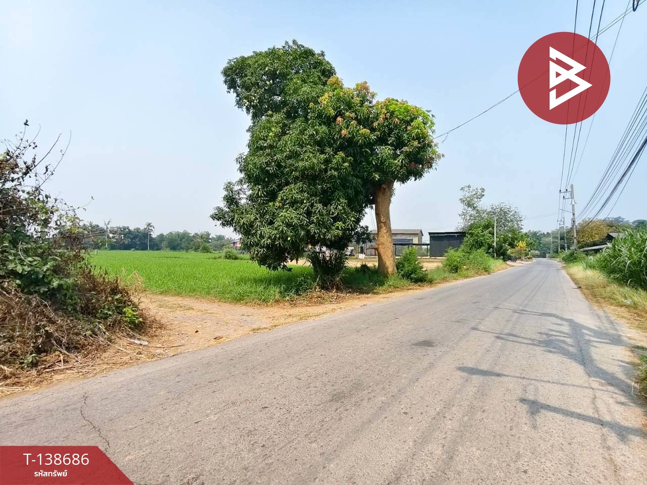 ขายที่ดิน เนื้อที่ 10 ไร่ 63 ตร.วา บ้านโป่ง ราชบุรี 11