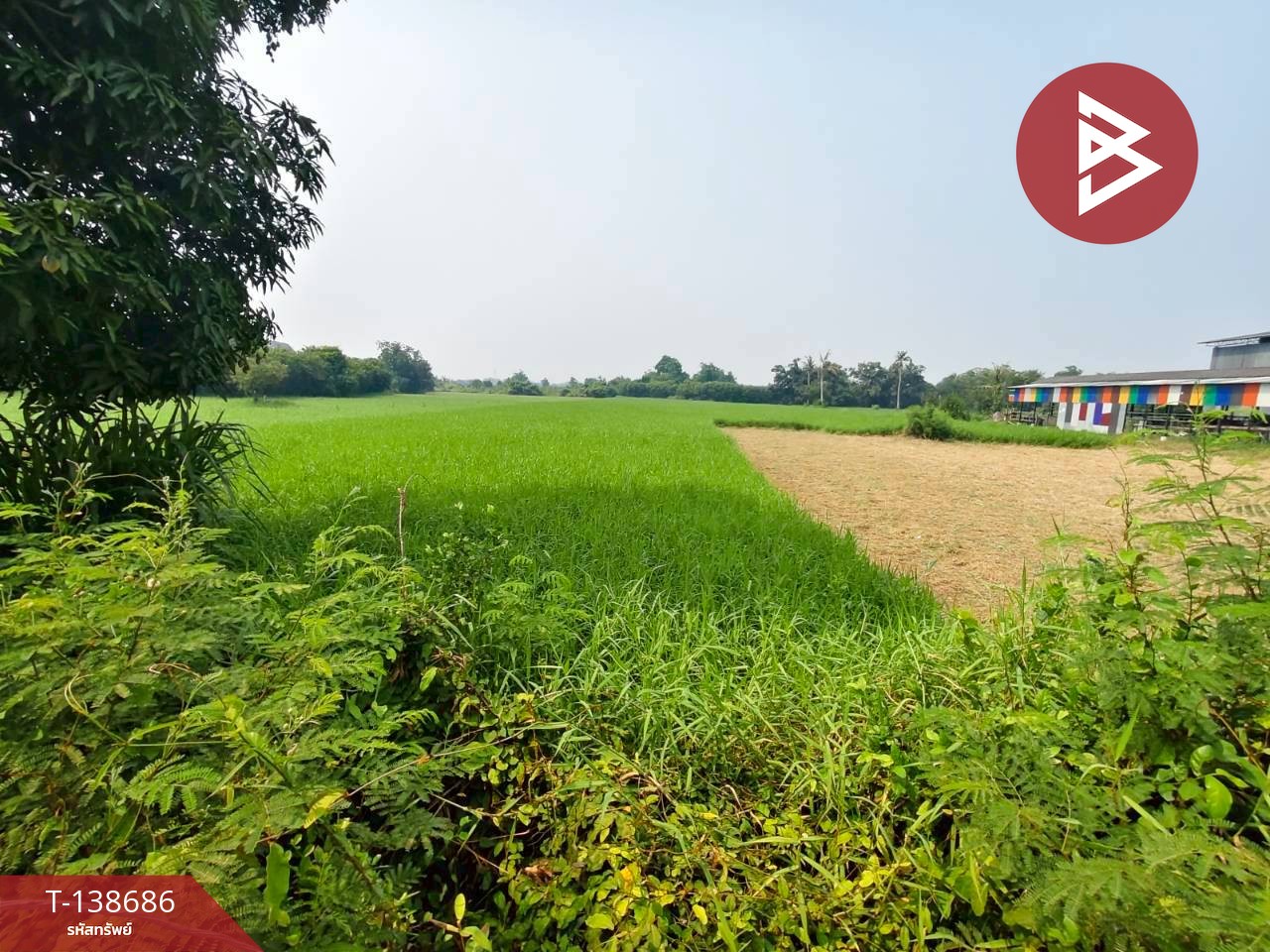 ขายที่ดิน เนื้อที่ 10 ไร่ 63 ตร.วา บ้านโป่ง ราชบุรี 8