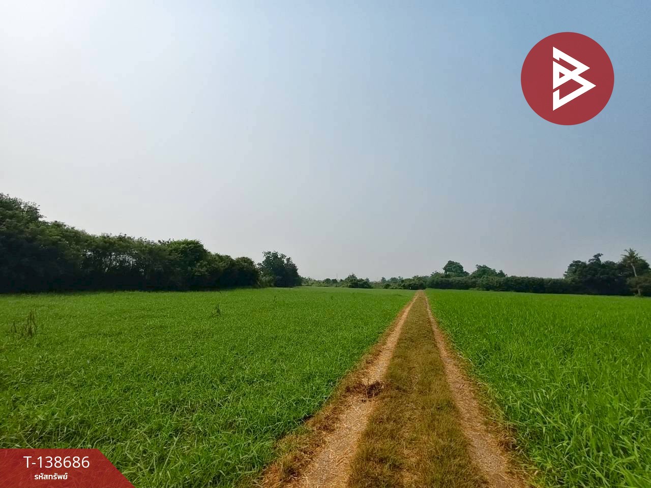 ขายที่ดิน เนื้อที่ 10 ไร่ 63 ตร.วา บ้านโป่ง ราชบุรี 3